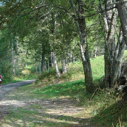 E312