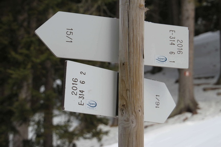 E314-ldp006-00-td-29