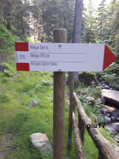 E315-ldp006-00-d01-170618-lz