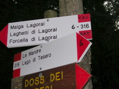 E316-ldp003-00-d1-old