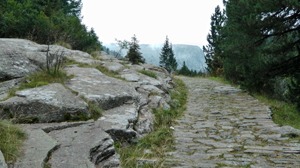 E316-Pieroni-01