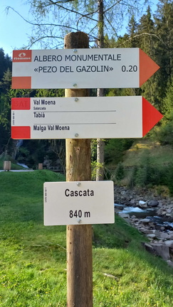 E317-ldp000-02-d01-220511-MB