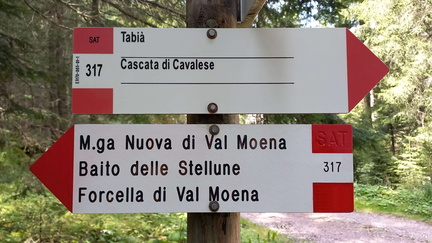 E317-ldp003-01-d01-230831-MB