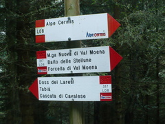 E317-ldp004-01-d1-160908-CI-P1070017