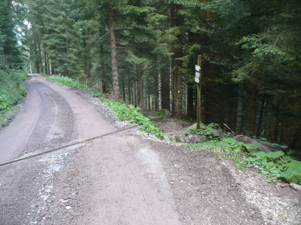 E317-ldp004-01-p1-160908-CI-P1070016