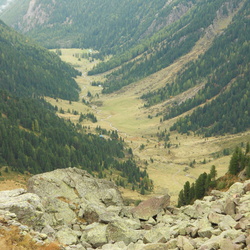 E317