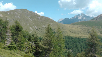 E317-Cima-d-Asta-Passo-Cinque-Croci