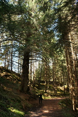 E317-Pezo-Gazolin-4-160410-HM