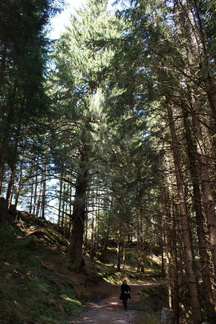 E317-Pezo-Gazolin-5-160410-HM