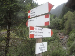 E317A-ldp001-00-d1-160827-MB