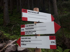 E317A-ldp004-00-d01-200622-MB