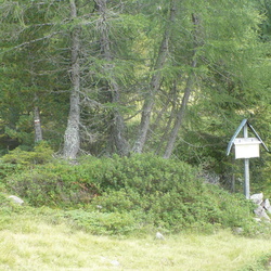 sentiero