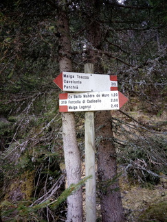 E319-ldp001-00-d01-171104-CZ