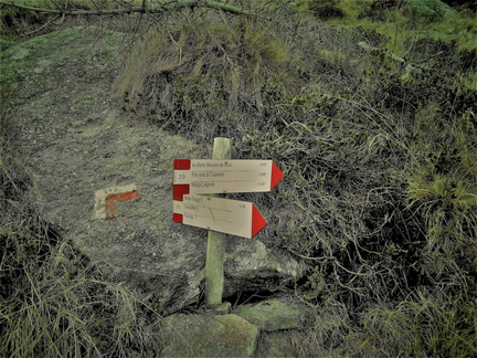 E319-ldp003-00-d01-171104-CZ