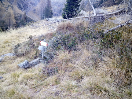 E319-ldp003-00-p01-171104-CZ