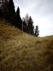 E319-ldp006-00-p01-171104-CZ