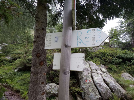 E320-ldp007-00-d02-190824-GB