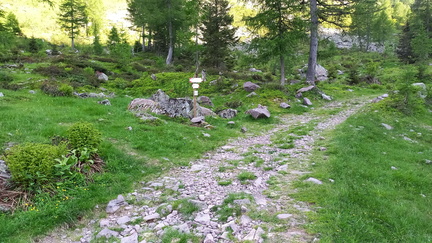 E320-ldp014-00-p01-170623-MB