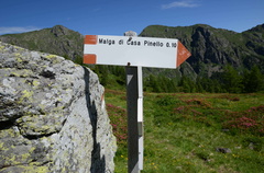 E323-ldp002-02-d02-180618-ED