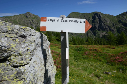 E323-ldp002-02-d02-180618-ED