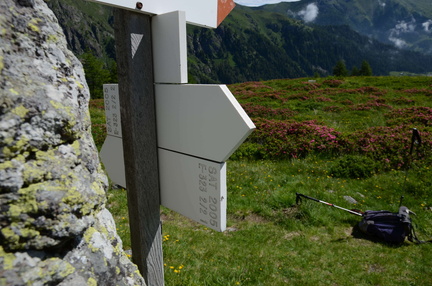 E323-ldp002-02-d03-180618-ED