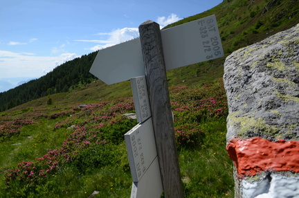 E323-ldp002-02-d04-180618-ED