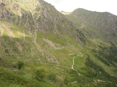 E323-20130811-MalgaPrimaBusa