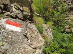 E323-20130811-segnavia