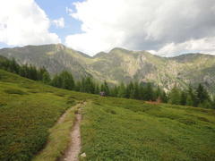 E323-20130811-sentiero1