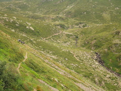 E323-20130811-sentiero3