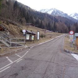E325