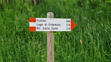 E325A-ldp000-01-d1-20210604-CR