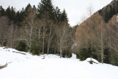 E325A-171226-td-3198