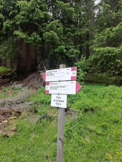 E327-ldp002-00-p01-210705-LG