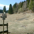 E330-ldp004-00-p2