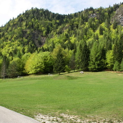 sentiero