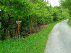 E331-ldp009-00-p03-20240523-td-