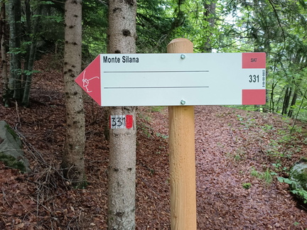 E331-ldp010-50-d01-20240523-td-