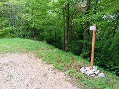 E331-ldp012-00-p02-20240523-td