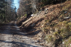 E331-ldp013-00-p01-241117-FB