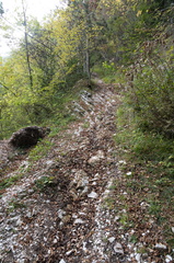 E331-013-Silana-20211019-1908-103