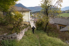 E331-07-Silana-20211019-1912-107