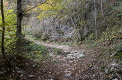 E331-11-Silana-20211019-1909-104