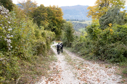 E331-15-Silana-20211019-1905-100