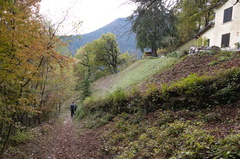 E331-15-Silana-20211019-1907-102