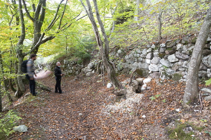 E331-21-Silana-20211019-1898-93