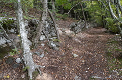 E331-23-Silana-20211019-1897-92