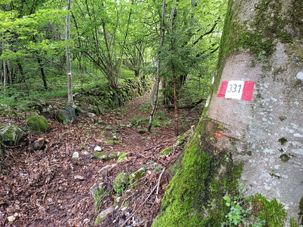 E331-32-quota1034-20240523-td-1716476419428