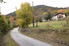 E331-33-Silana-20211019-1890-85