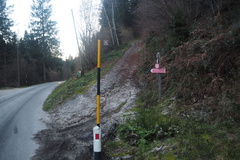 E331A-ldp001-00-p02-241117-FB